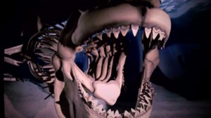 megalodon mouth